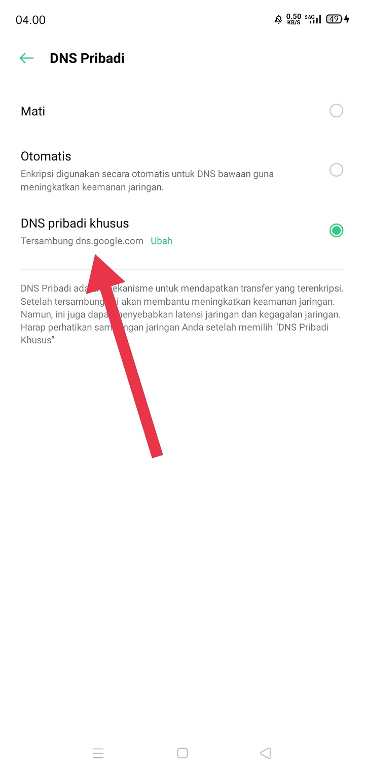 Aktivasi DNS Pribadi