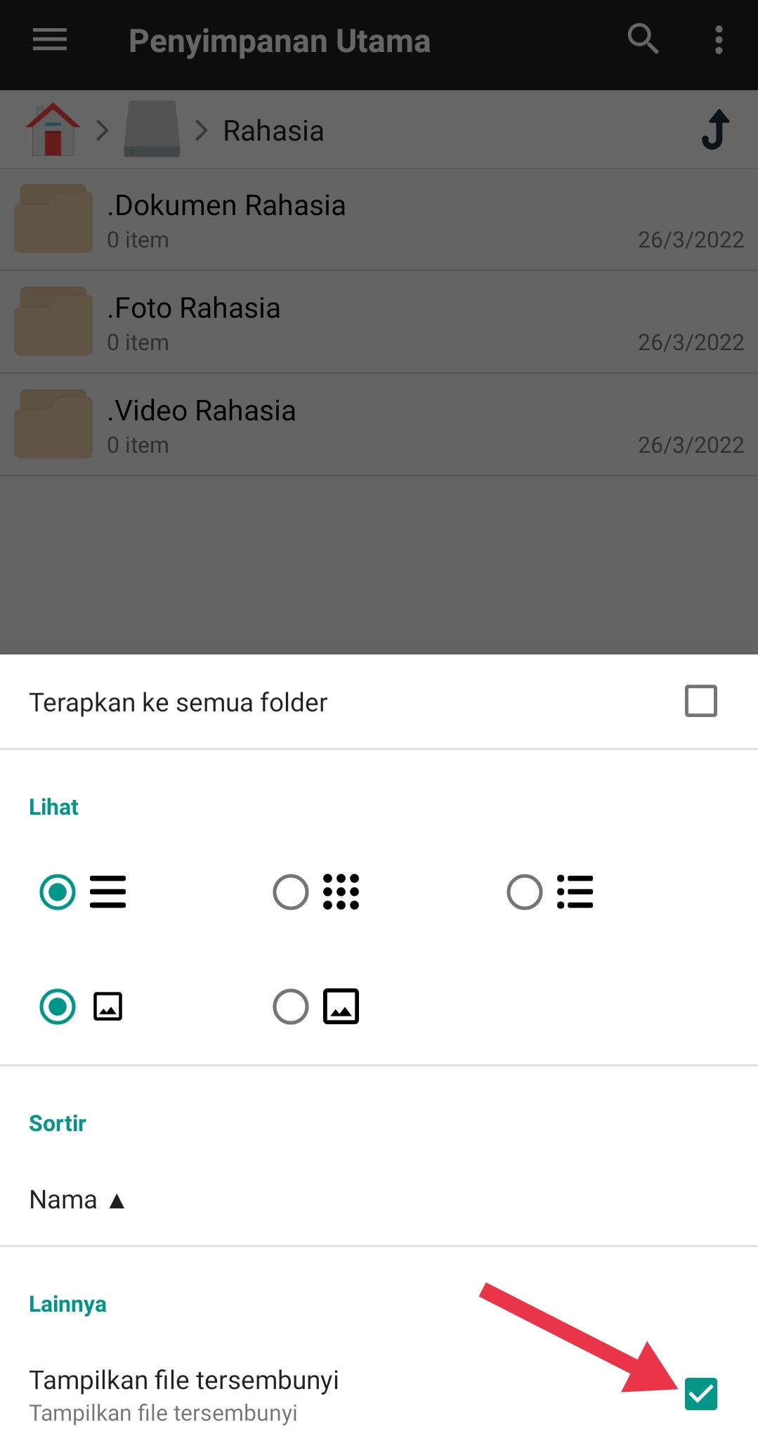 Menampilkan File Tersembunyi