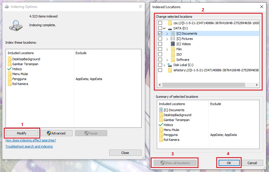 Indexing Options - Modify