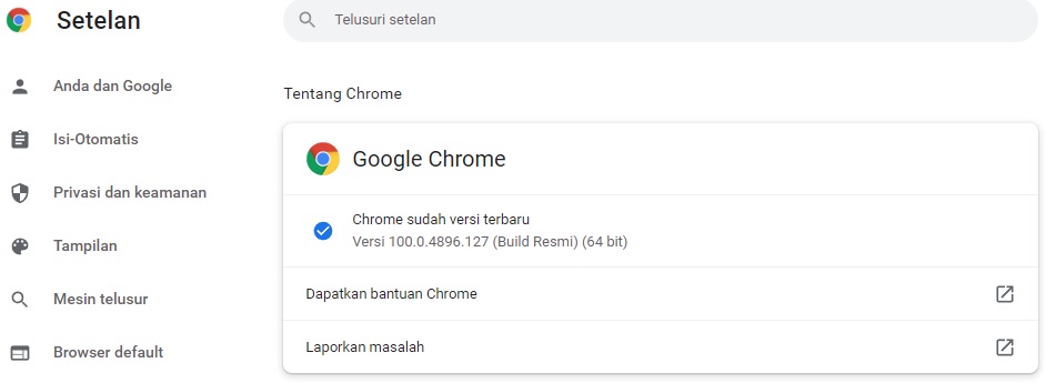 Update Otomatis Google Chrome