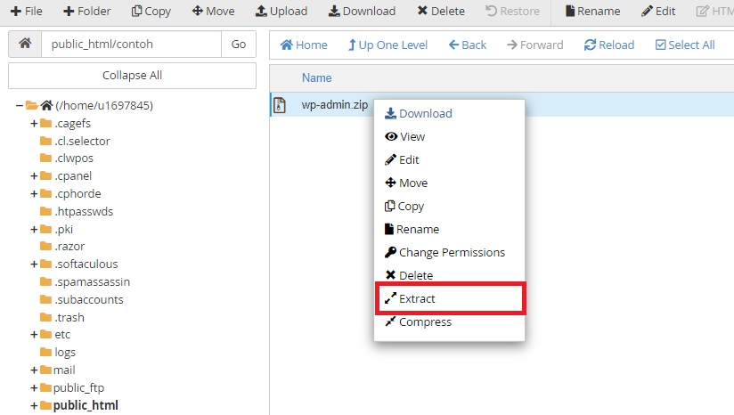 Ekstrak Arsip di cPanel