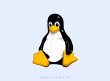 Linux Paling Ringan Untuk Laptop/PC Jadul