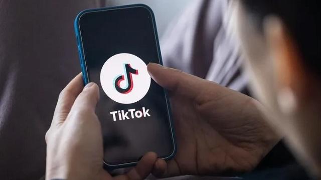 Pengguna TikTok