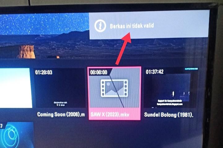 MKV Tidak Dapat Diputar Di TV